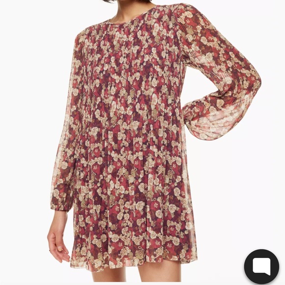 Wilfred Dresses & Skirts - Aritzia Wilfred Daydreamer Mini Dress